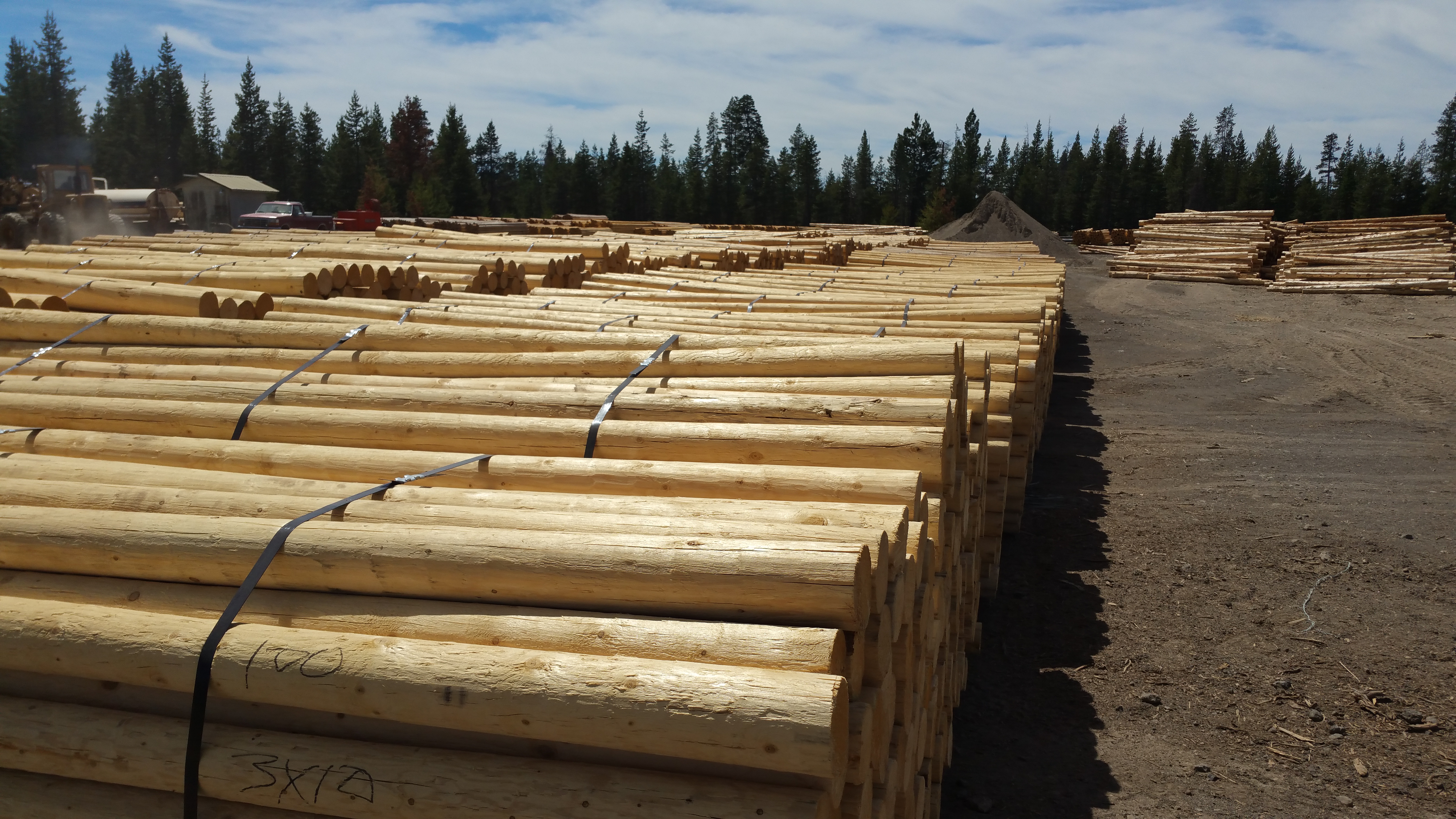 Lodgepole Pine Bar Tops